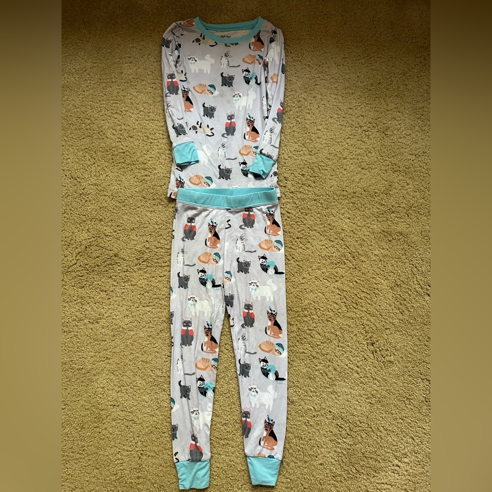 Little sleepies grey cool cats 2 piece long sleeve pajama set.